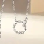 925 Sterling Silver Thorn Ring Pendant Necklace, Mobius Couple Chain for Women Men, Valentine's Day Gift